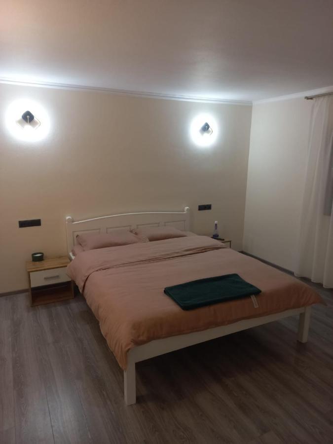 Casa Edy Villa Vişeu de Sus Buitenkant foto