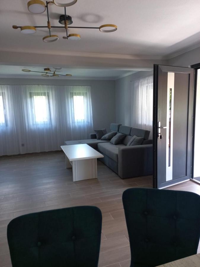 Casa Edy Villa Vişeu de Sus Buitenkant foto